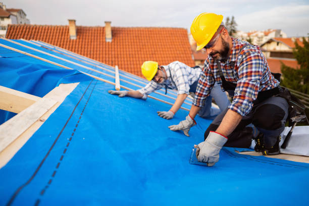 Roof Gutter Cleaning in Sherwood, OR